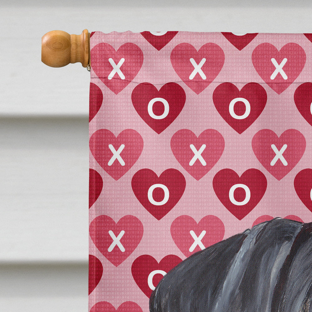 Doberman Hearts Love and Valentine's Day Portrait House Flag 28x40 Porch Sleeve Pole Decorative Outside Yard Banner Artwork Wall Hanging, Polyester