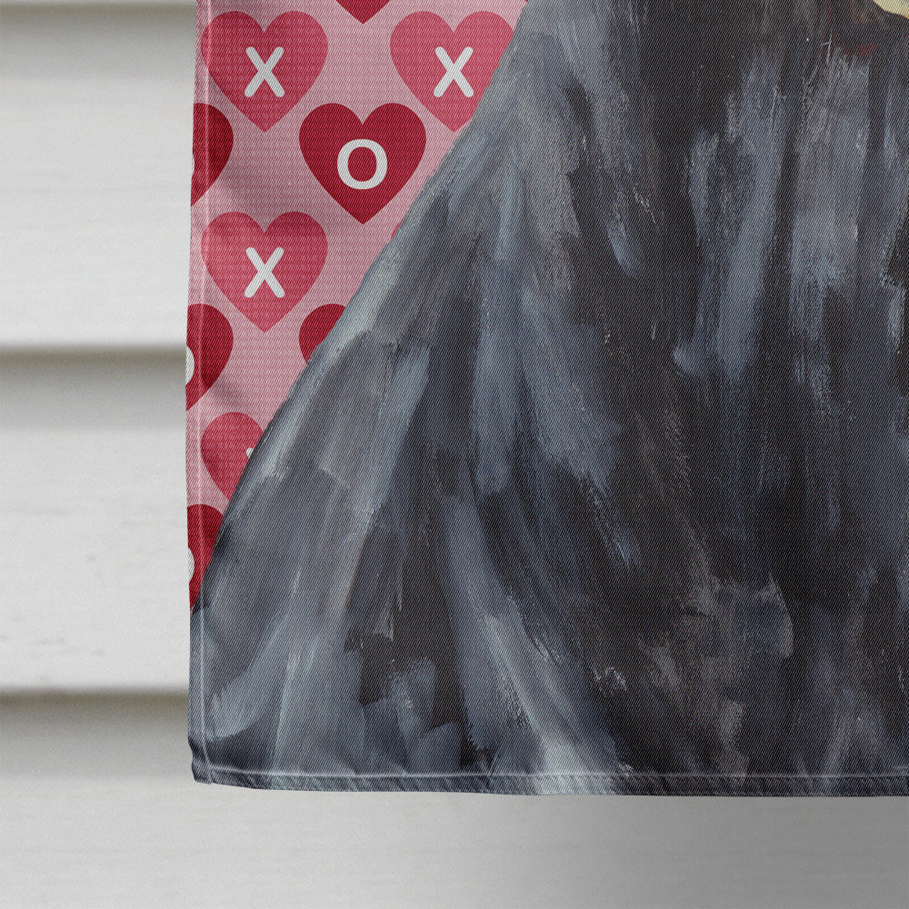 Doberman Hearts Love and Valentine's Day Portrait House Flag 28x40 Porch Sleeve Pole Decorative Outside Yard Banner Artwork Wall Hanging, Polyester
