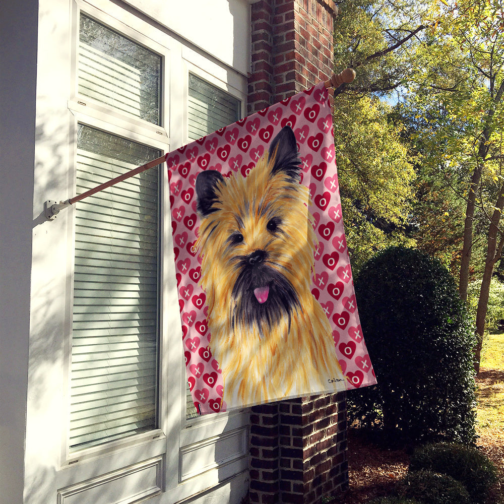 Cairn Terrier Hearts Love and Valentine's Day Portrait House Flag 28x40 Porch Sleeve Pole Decorative Outside Yard Banner Artwork Wall Hanging, Polyester