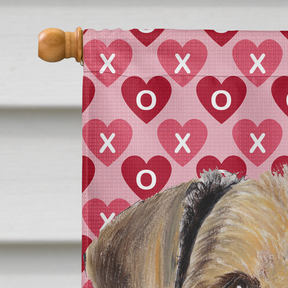 Airedale Hearts Love and Valentine's Day Portrait House Flag 28x40 Porch Sleeve Pole Decorative Outside Yard Banner Artwork Wall Hanging, Polyester