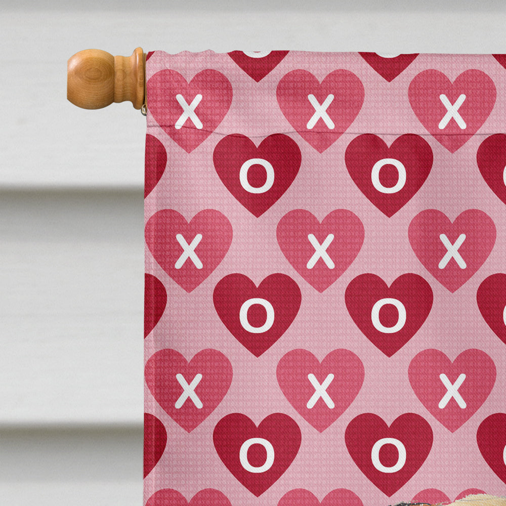 Pug Hearts Love and Valentine's Day Portrait House Flag 28x40 Porch Sleeve Pole Decorative Outside Yard Banner Artwork Wall Hanging, Polyester
