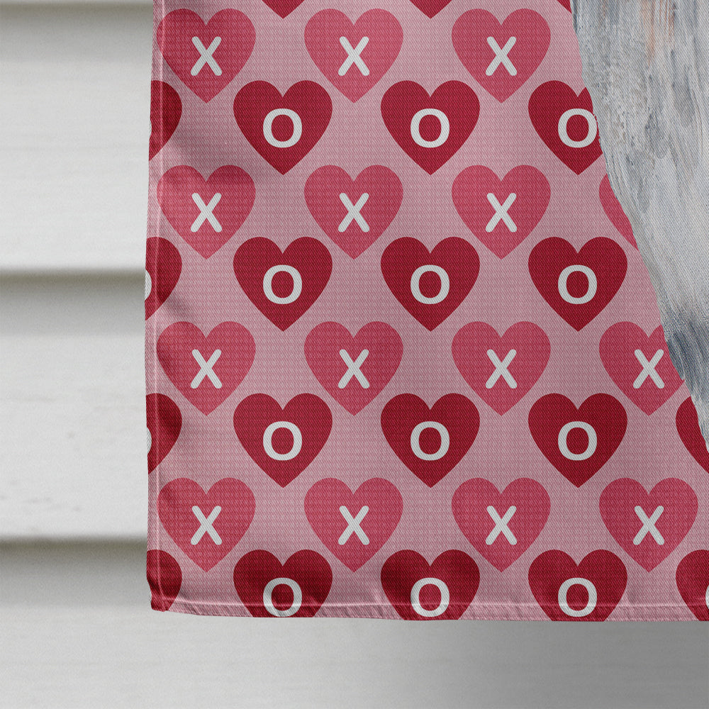 Beagle Hearts Love and Valentine's Day Portrait House Flag 28x40 Porch Sleeve Pole Decorative Outside Yard Banner Artwork Wall Hanging, Polyester