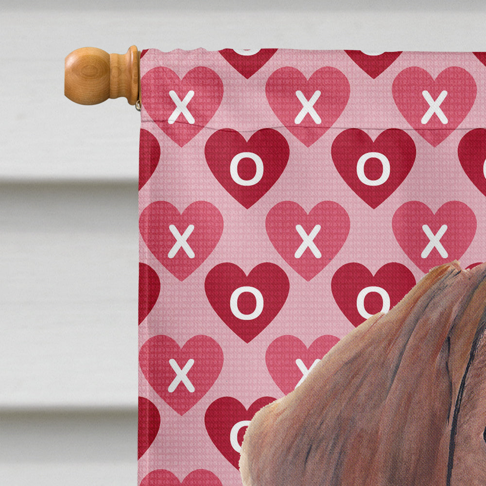 Dachshund Hearts Love and Valentine's Day Portrait House Flag 28x40 Porch Sleeve Pole Decorative Outside Yard Banner Artwork Wall Hanging, Polyester