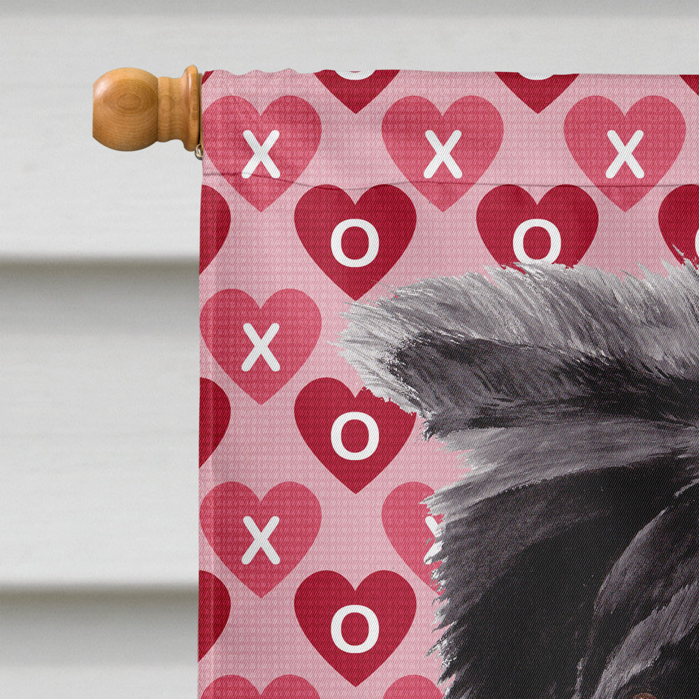 Border Collie Hearts Love and Valentine's Day Portrait House Flag 28x40 Porch Sleeve Pole Decorative Outside Yard Banner Artwork Wall Hanging, Polyester