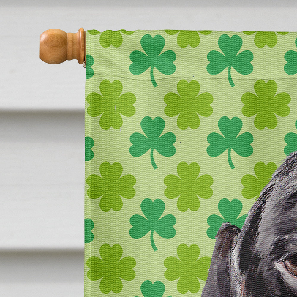 Dachshund St. Patrick's Day Shamrock Portrait House Flag 28x40 Porch Sleeve Pole Decorative Outside Yard Banner Artwork Wall Hanging, Polyester