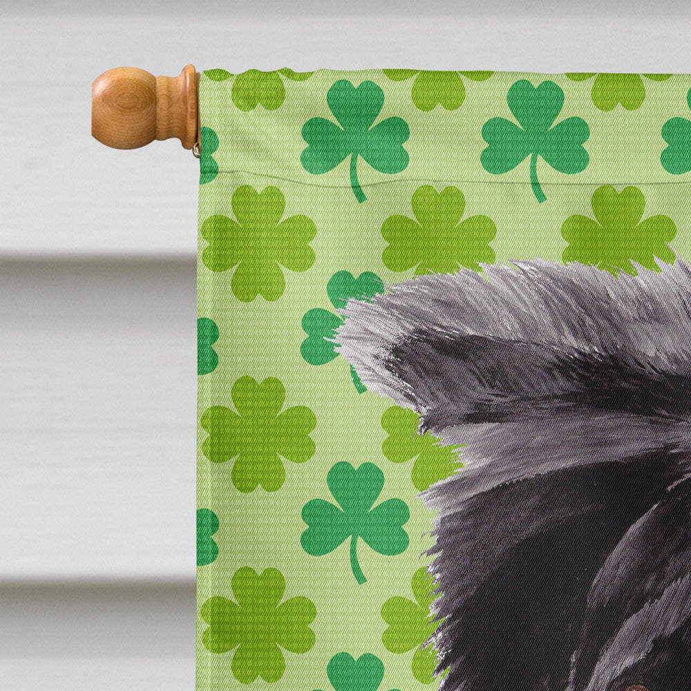 Border Collie St. Patrick's Day Shamrock Portrait House Flag 28x40 Porch Sleeve Pole Decorative Outside Yard Banner Artwork Wall Hanging, Polyester