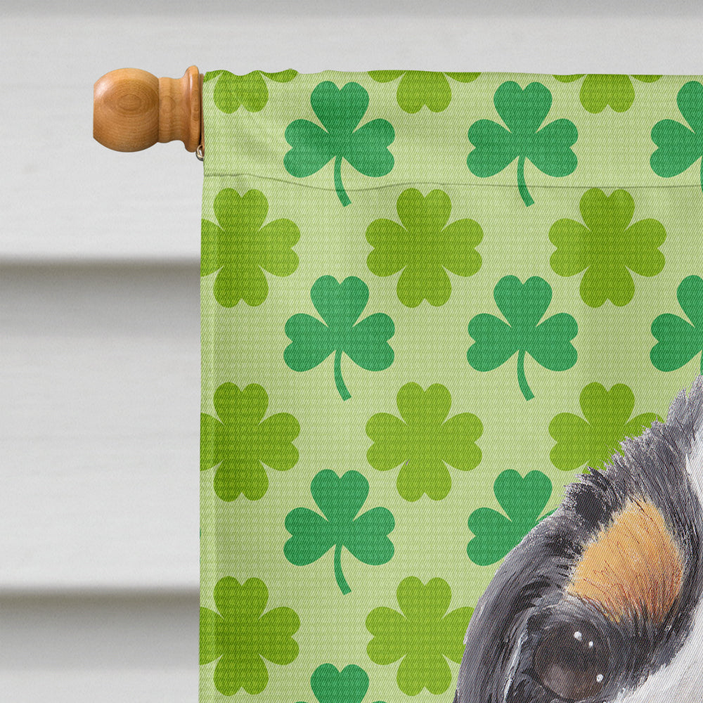 Cavalier Spaniel St. Patrick's Day Shamrock Portrait House Flag 28x40 Porch Sleeve Pole Decorative Outside Yard Banner Artwork Wall Hanging, Polyester