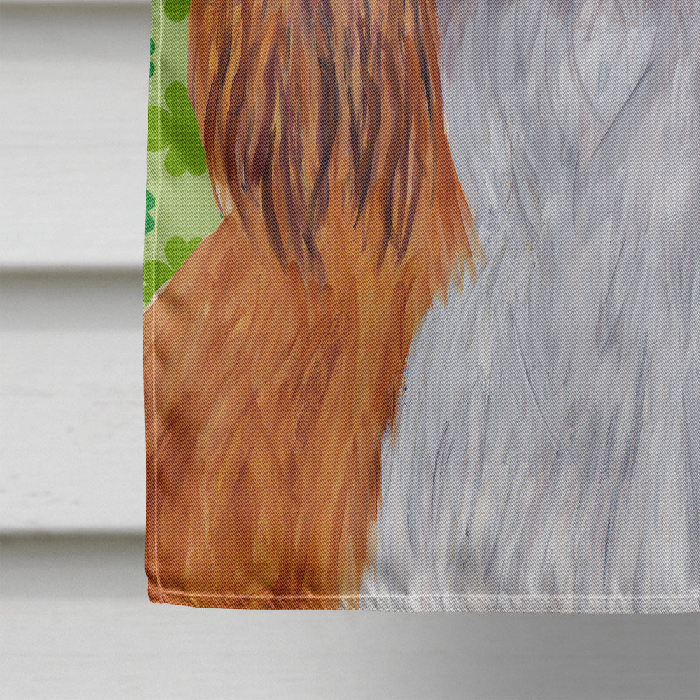 Cavalier Spaniel St. Patrick's Day Shamrock Portrait House Flag 28x40 Porch Sleeve Pole Decorative Outside Yard Banner Artwork Wall Hanging, Polyester