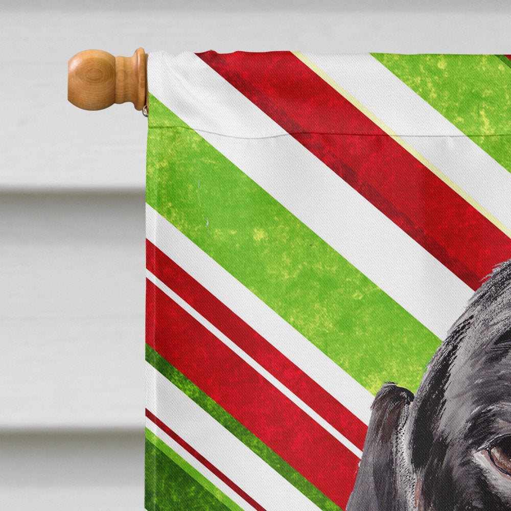 Dachshund Candy Cane Holiday Christmas House Flag 28x40 Porch Sleeve Pole Decorative Outside Yard Banner Artwork Wall Hanging, Polyester