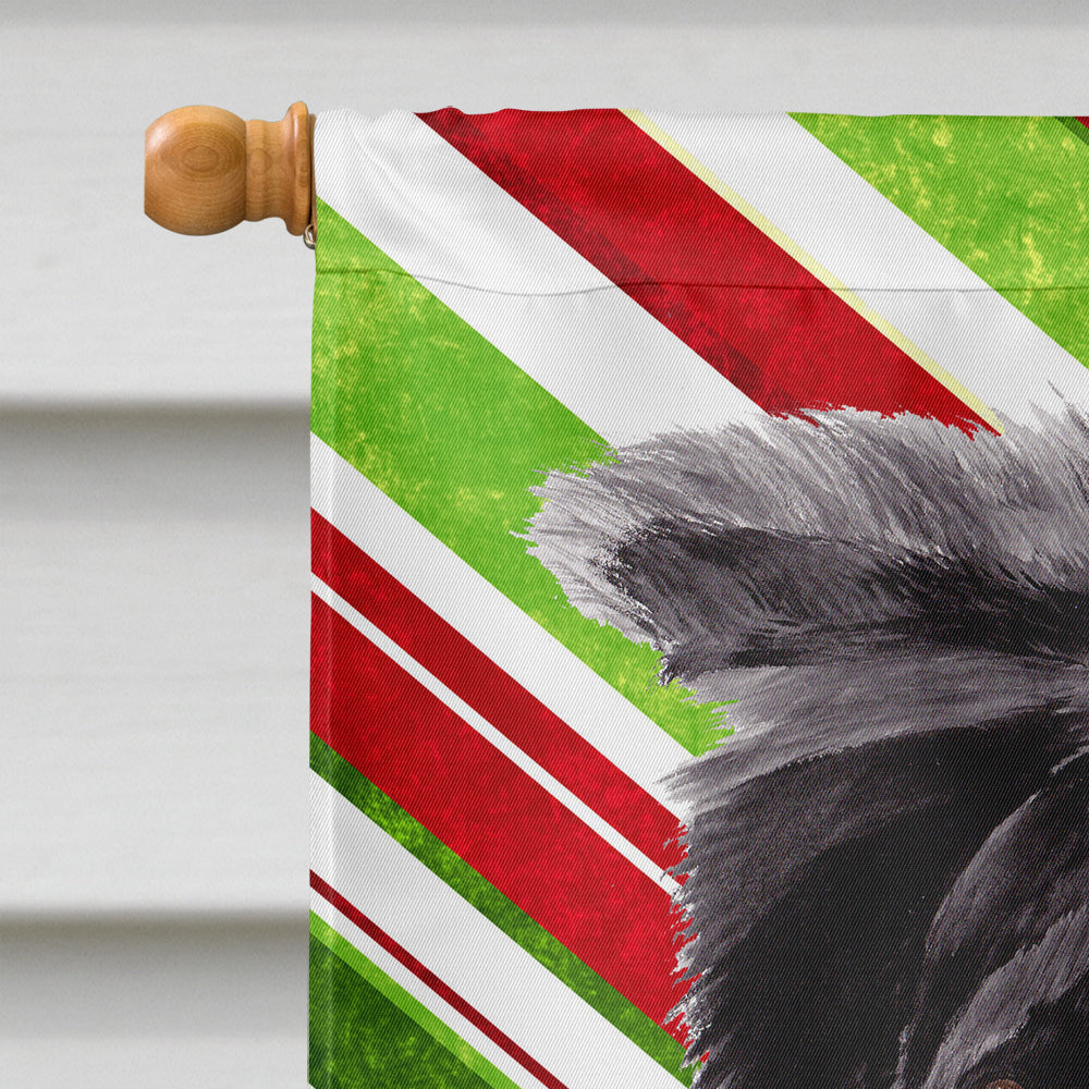 Border Collie Candy Cane Holiday Christmas House Flag 28x40 Porch Sleeve Pole Decorative Outside Yard Banner Artwork Wall Hanging, Polyester