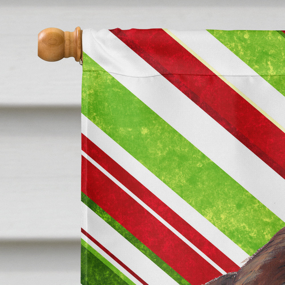 Welsh Springer Spaniel Candy Cane Holiday Christmas House Flag 28x40 Porch Sleeve Pole Decorative Outside Yard Banner Artwork Wall Hanging, Polyester