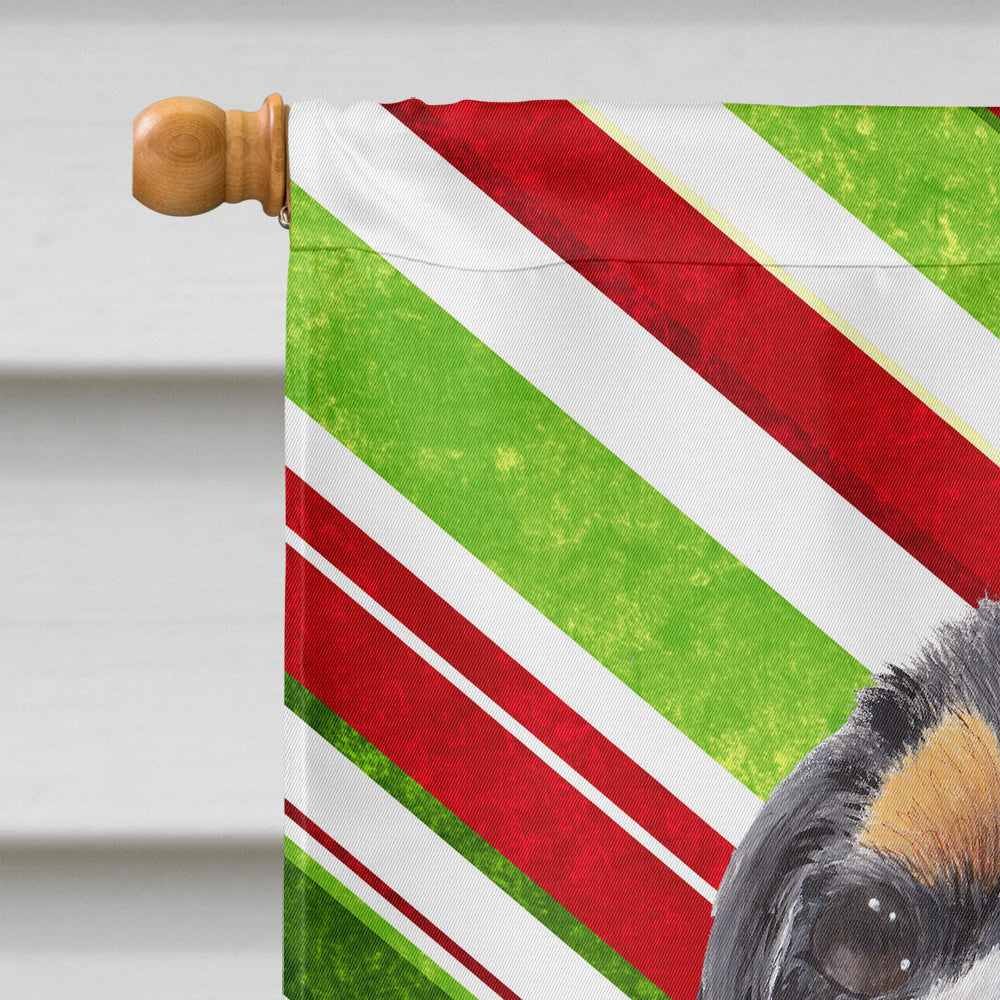 Cavalier Spaniel Candy Cane Holiday Christmas House Flag 28x40 Porch Sleeve Pole Decorative Outside Yard Banner Artwork Wall Hanging, Polyester
