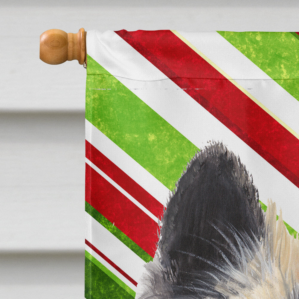 Belgian Tervuren Candy Cane Holiday Christmas House Flag 28x40 Porch Sleeve Pole Decorative Outside Yard Banner Artwork Wall Hanging, Polyester