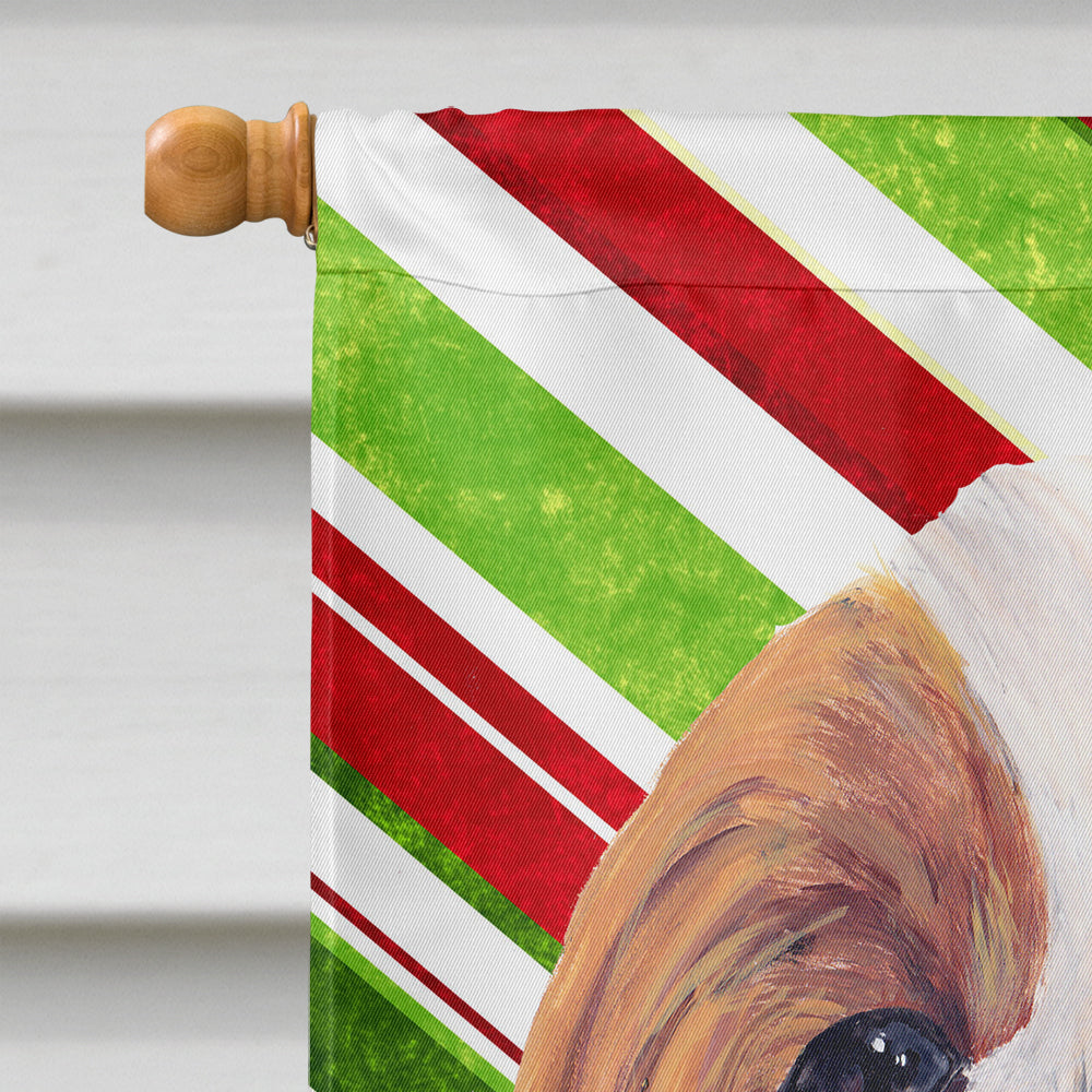 Cavalier Spaniel Candy Cane Holiday Christmas House Flag 28x40 Porch Sleeve Pole Decorative Outside Yard Banner Artwork Wall Hanging, Polyester