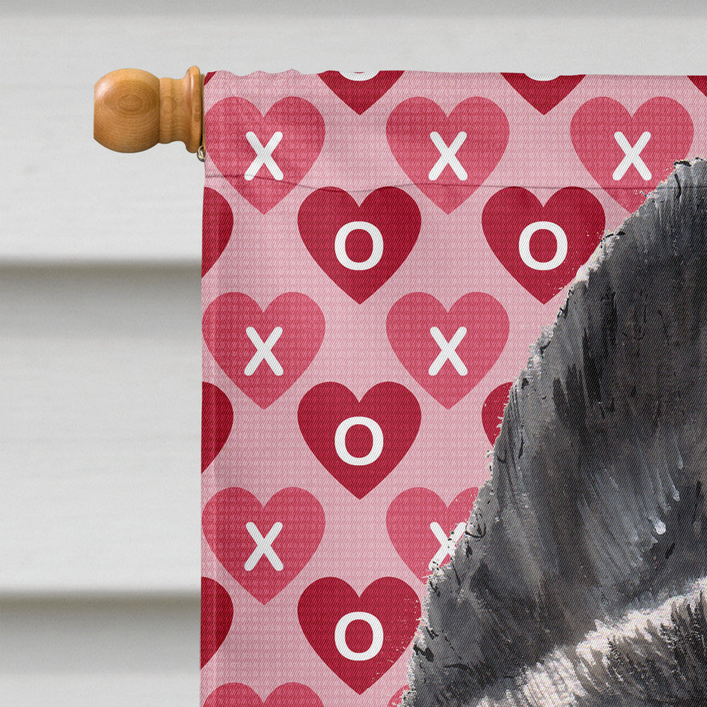 Akita Hearts Love and Valentine's Day House Flag 28x40 Porch Sleeve Pole Decorative Outside Yard Banner Artwork Wall Hanging, Polyester