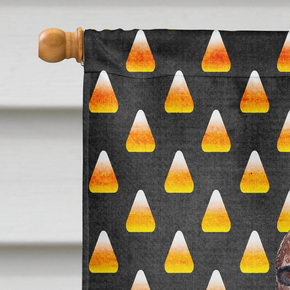 Irish Setter Candy Corn Halloween House Flag 28x40 Porch Sleeve Pole Decorative Outside Yard Banner Artwork Wall Hanging, Polyester