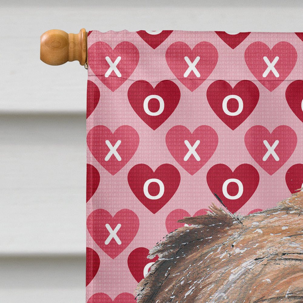 Brussels Griffon Hearts and Love House Flag 28x40 Porch Sleeve Pole Decorative Outside Yard Banner Artwork Wall Hanging, Polyester