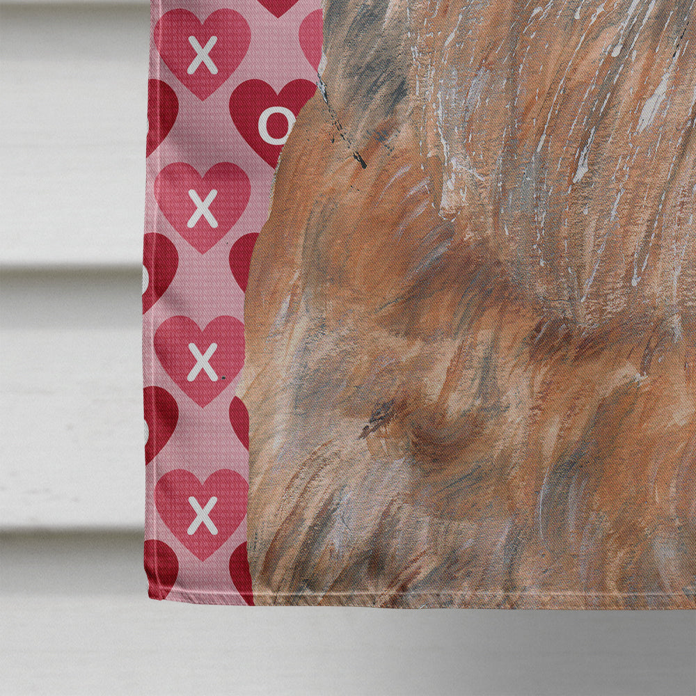 Brussels Griffon Hearts and Love House Flag 28x40 Porch Sleeve Pole Decorative Outside Yard Banner Artwork Wall Hanging, Polyester