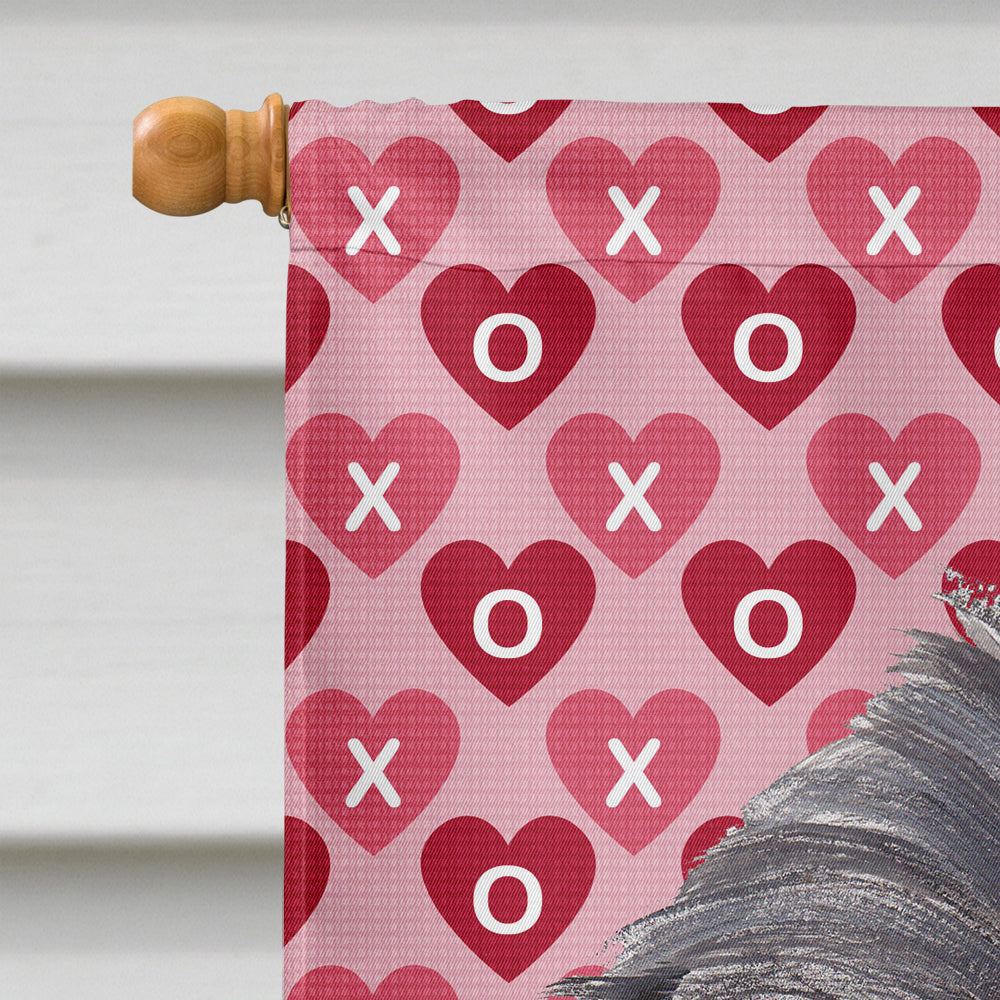 Brussels Griffon Hearts and Love House Flag 28x40 Porch Sleeve Pole Decorative Outside Yard Banner Artwork Wall Hanging, Polyester