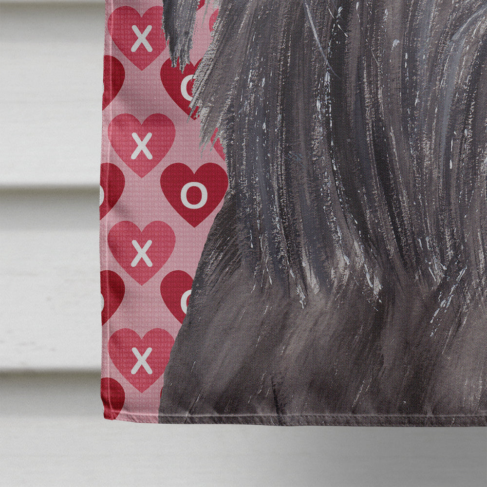 Brussels Griffon Hearts and Love House Flag 28x40 Porch Sleeve Pole Decorative Outside Yard Banner Artwork Wall Hanging, Polyester
