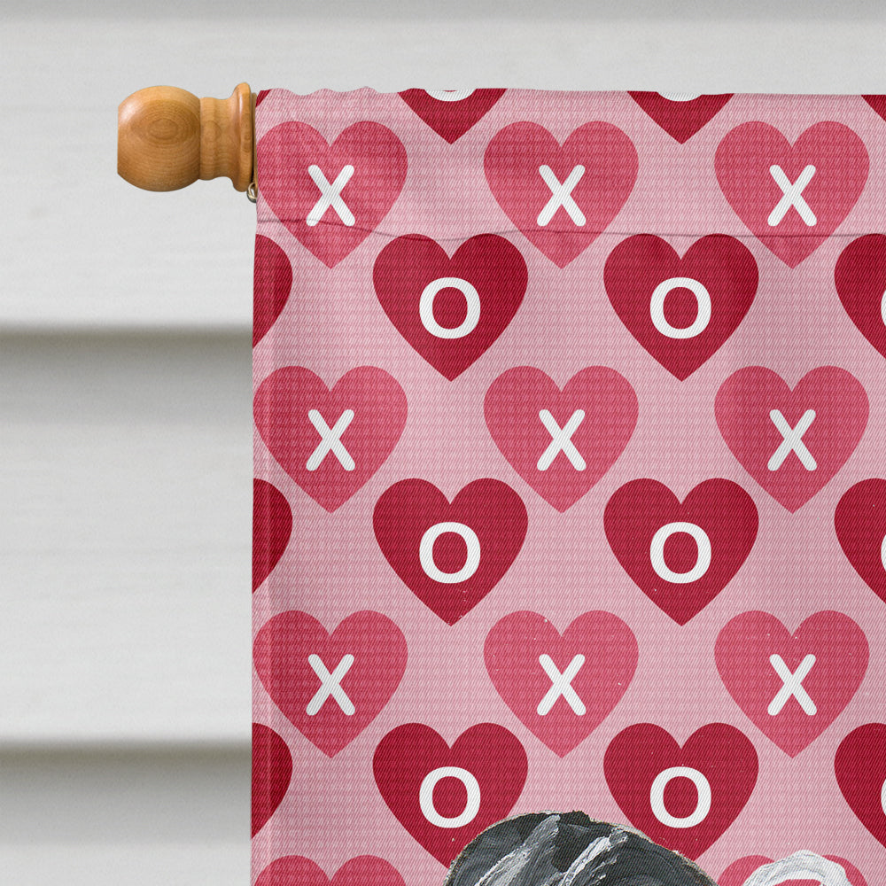 Chinese Crested Hearts and Love House Flag 28x40 Porch Sleeve Pole Decorative Outside Yard Banner Artwork Wall Hanging, Polyester