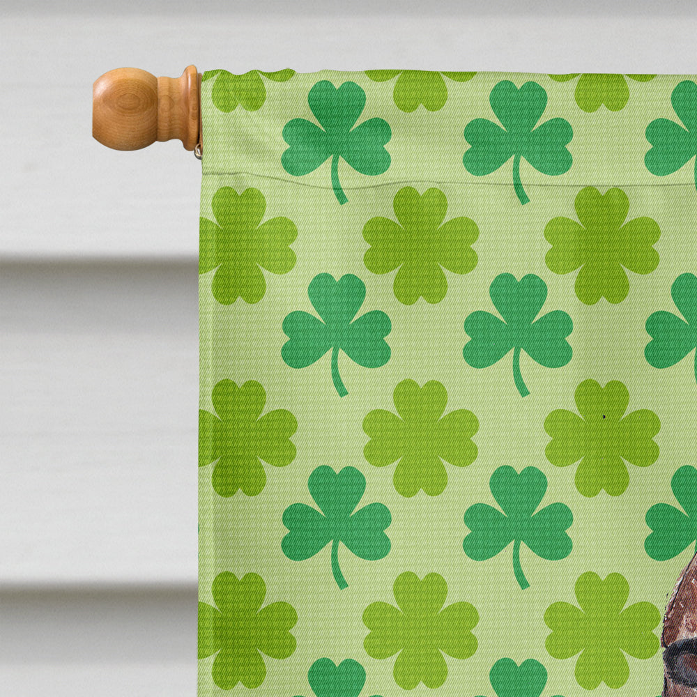 Irish Setter Lucky Shamrock St. Patrick's Day House Flag 28x40 Porch Sleeve Pole Decorative Outside Yard Banner Artwork Wall Hanging, Polyester