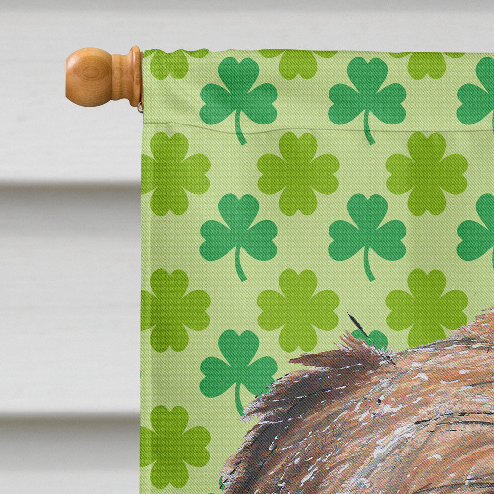 Brussels Griffon Lucky Shamrock St. Patrick's Day House Flag 28x40 Porch Sleeve Pole Decorative Outside Yard Banner Artwork Wall Hanging, Polyester