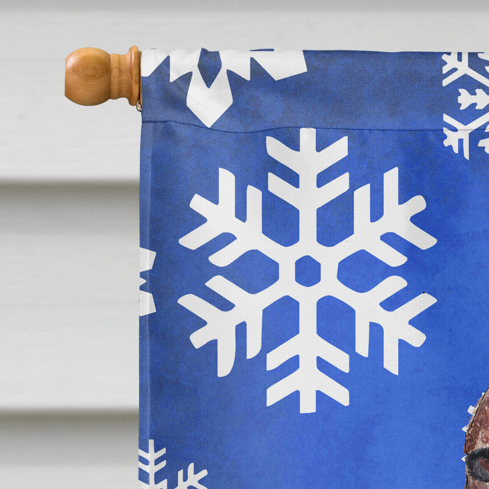 Irish Setter Winter Snowflakes House Flag 28x40 Porch Sleeve Pole Decorative Outside Yard Banner Artwork Wall Hanging, Polyester