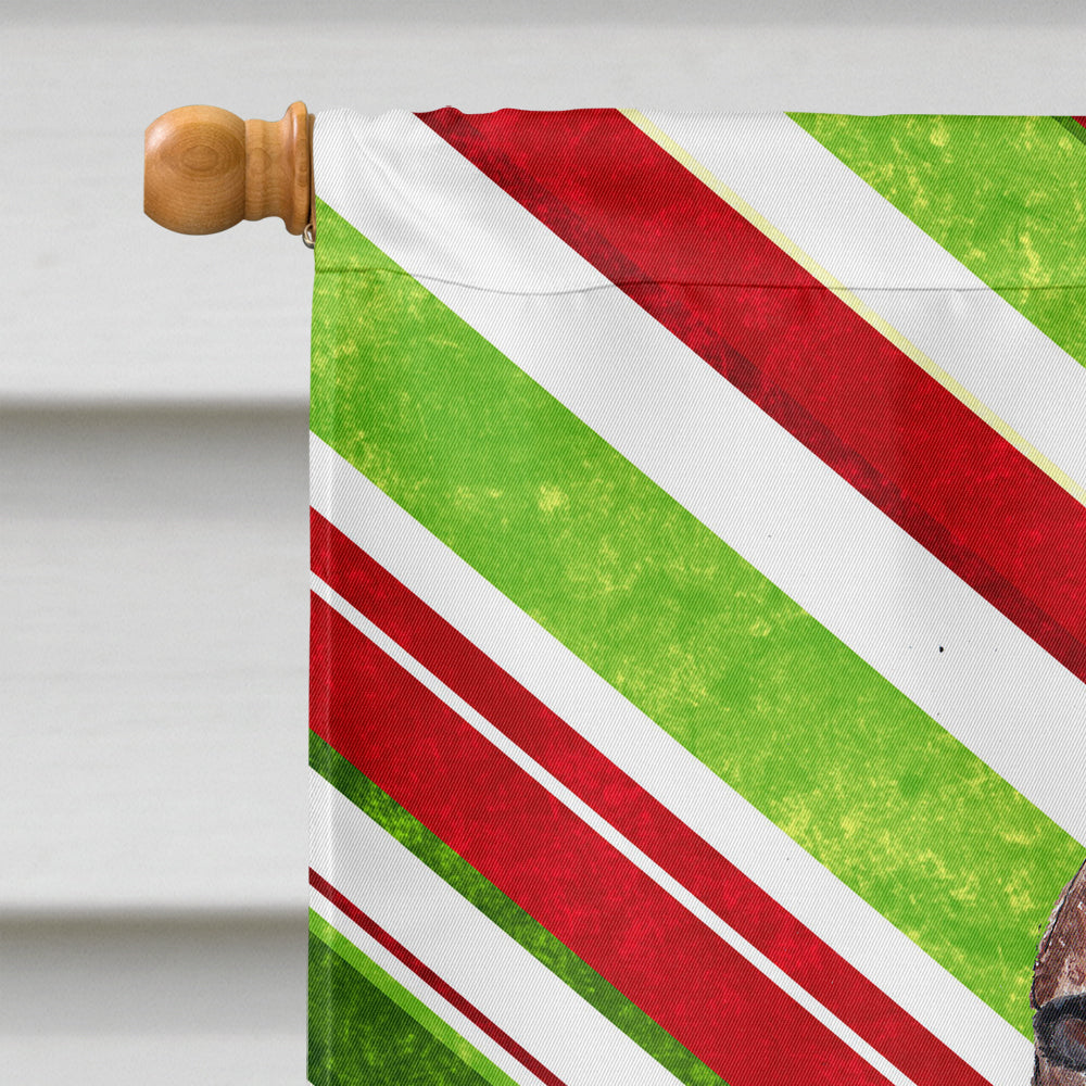Irish Setter Candy Cane Christmas House Flag 28x40 Porch Sleeve Pole Decorative Outside Yard Banner Artwork Wall Hanging, Polyester