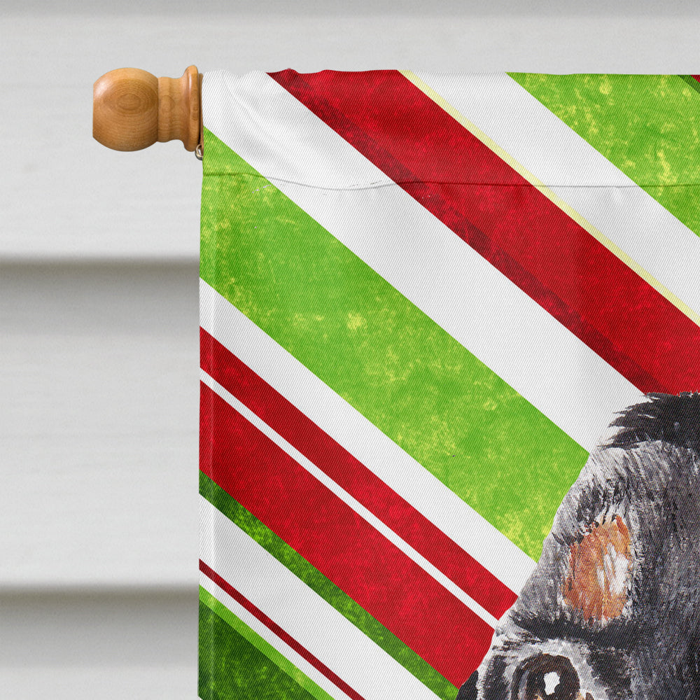 Black and Tan Coonhound Candy Cane Christmas House Flag 28x40 Porch Sleeve Pole Decorative Outside Yard Banner Artwork Wall Hanging, Polyester