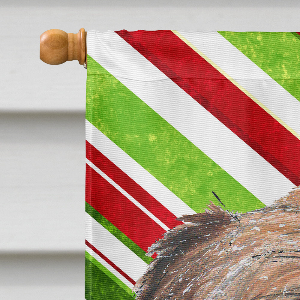 Brussels Griffon Candy Cane Christmas House Flag 28x40 Porch Sleeve Pole Decorative Outside Yard Banner Artwork Wall Hanging, Polyester