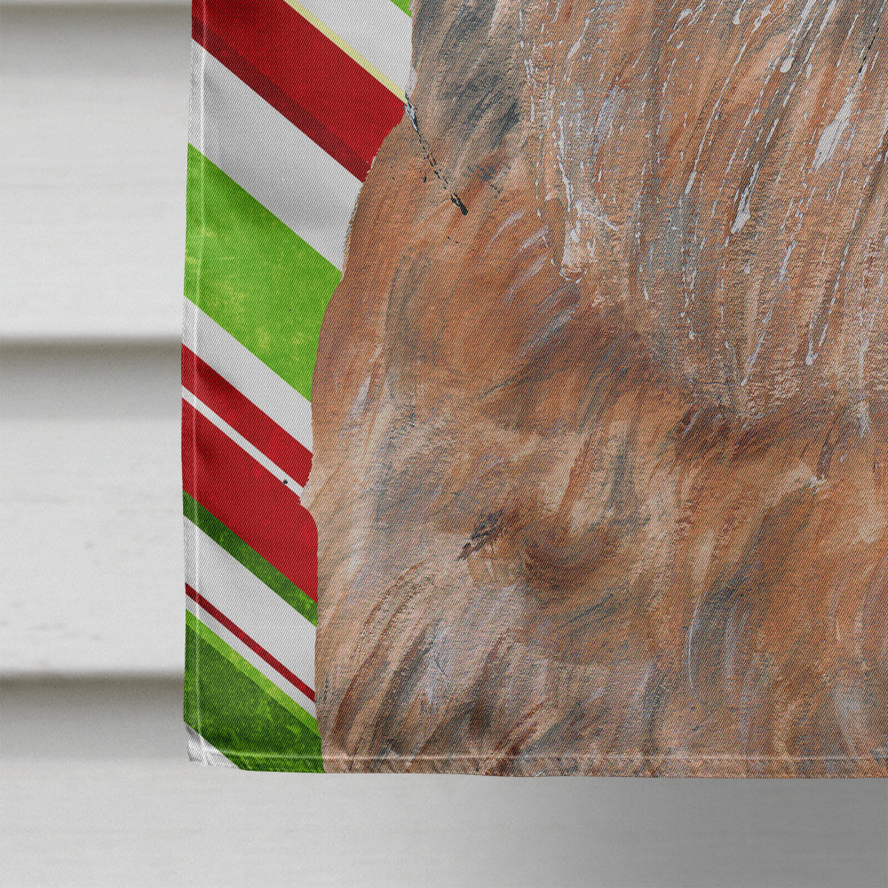 Brussels Griffon Candy Cane Christmas House Flag 28x40 Porch Sleeve Pole Decorative Outside Yard Banner Artwork Wall Hanging, Polyester
