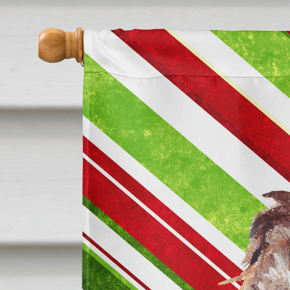 Boykin Spaniel Candy Cane Christmas House Flag 28x40 Porch Sleeve Pole Decorative Outside Yard Banner Artwork Wall Hanging, Polyester