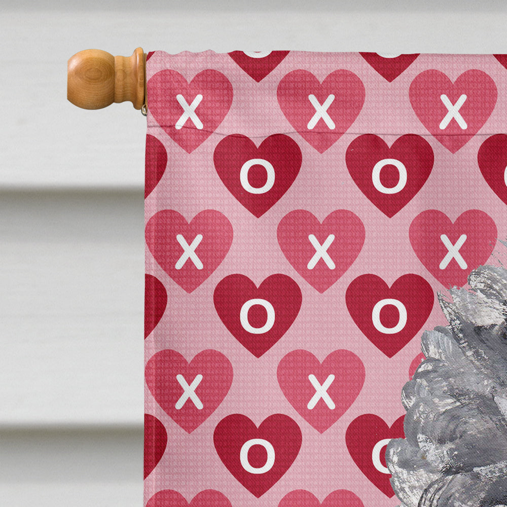 Black Standard Poodle Hearts and Love House Flag 28x40 Porch Sleeve Pole Decorative Outside Yard Banner Artwork Wall Hanging, Polyester