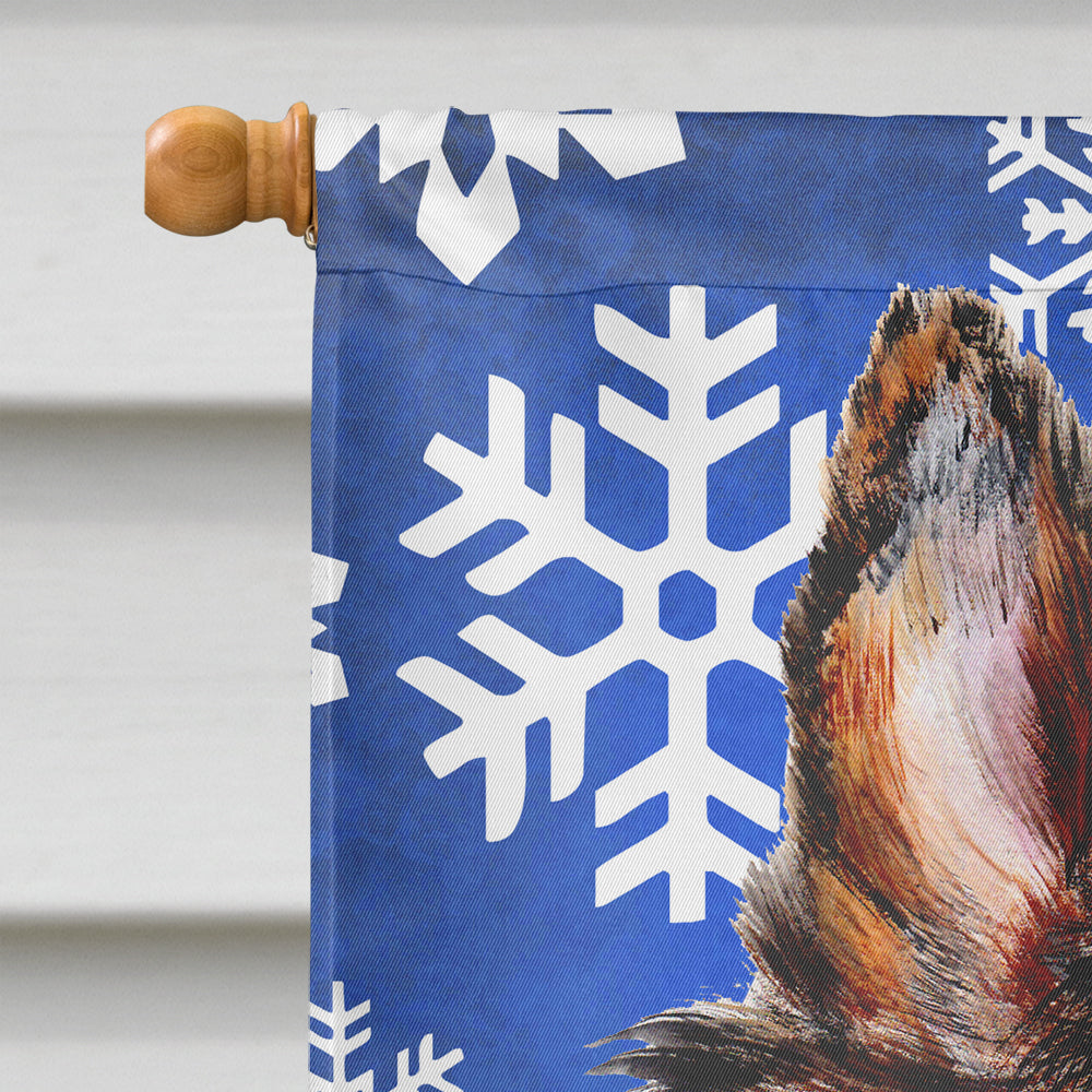 Collie Winter Snowflakes House Flag 28x40 Porch Sleeve Pole Decorative Outside Yard Banner Artwork Wall Hanging, Polyester