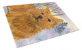 Norwich Terrier Cutting Board Tempered Glass Kitchen Cutting Surface, Heat Resistant Chopping, Non-Slip Feet, Food Prep & Serving