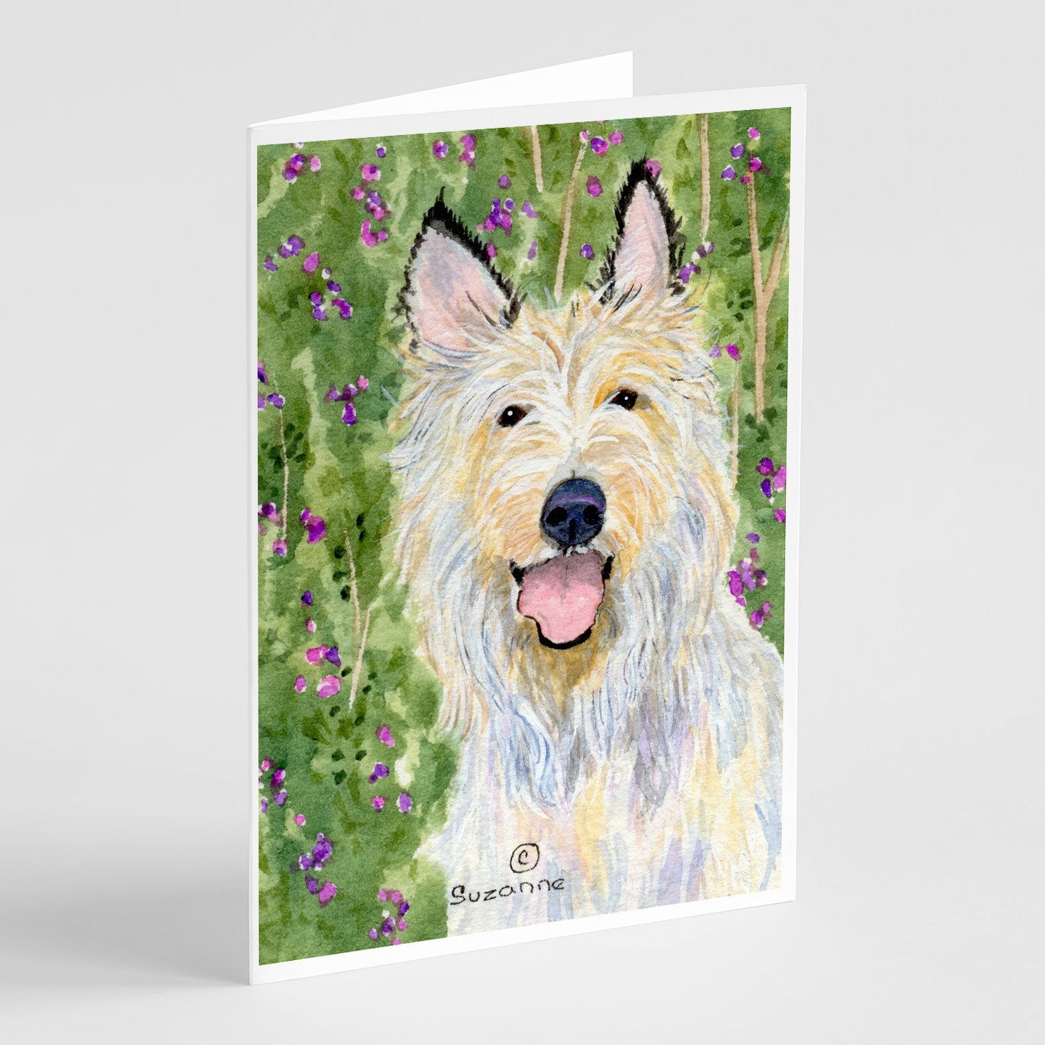 Berger Picard Greeting Cards Pack of 8 Blank Cards with Envelopes Whimsical A7 Size 5x7