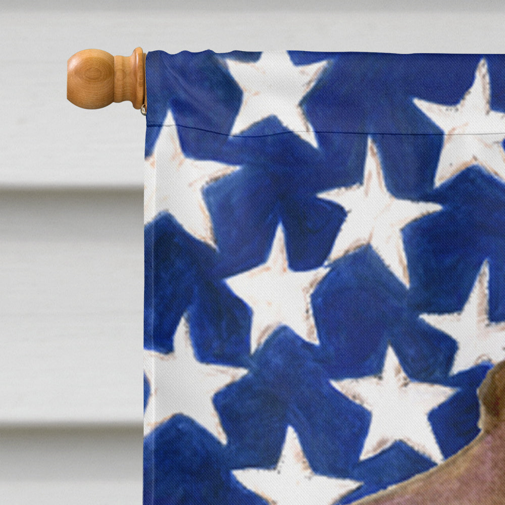 USA American Flag with Field Spaniel House Flag 28x40 Porch Sleeve Pole Decorative Outside Yard Banner Artwork Wall Hanging, Polyester