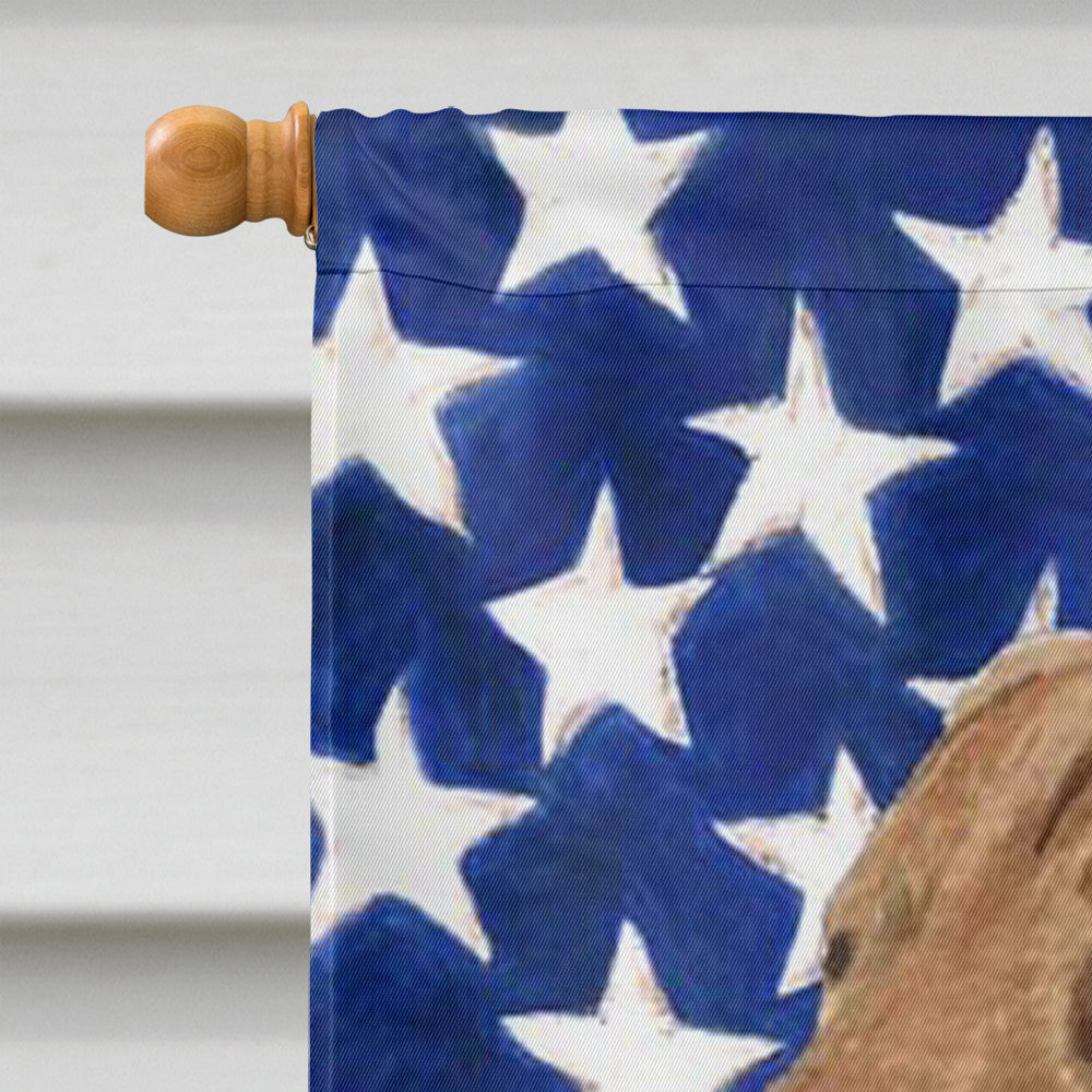 USA American Flag with Curly Coated Retriever House Flag 28x40 Porch Sleeve Pole Decorative Outside Yard Banner Artwork Wall Hanging, Polyester