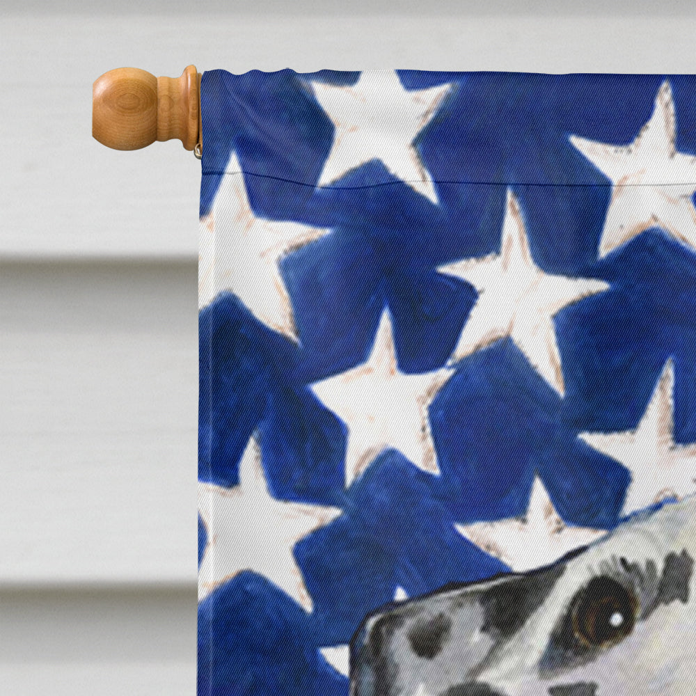 USA American Flag with Dalmatian House Flag 28x40 Porch Sleeve Pole Decorative Outside Yard Banner Artwork Wall Hanging, Polyester