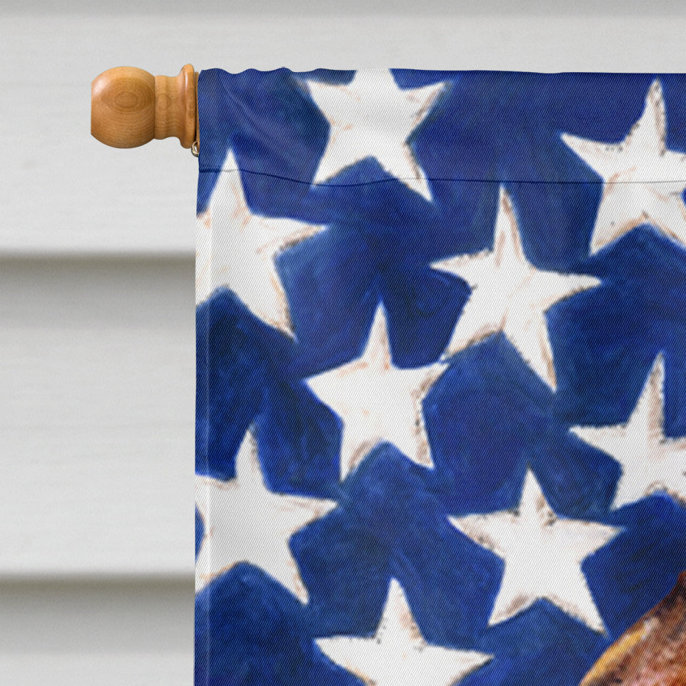 USA American Flag with Brussels Griffon House Flag 28x40 Porch Sleeve Pole Decorative Outside Yard Banner Artwork Wall Hanging, Polyester