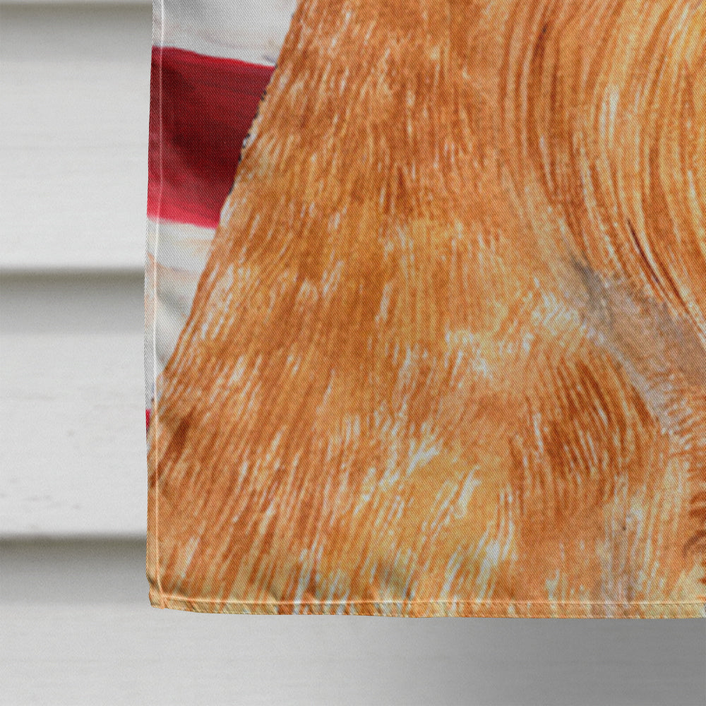 USA American Flag with Brussels Griffon House Flag 28x40 Porch Sleeve Pole Decorative Outside Yard Banner Artwork Wall Hanging, Polyester
