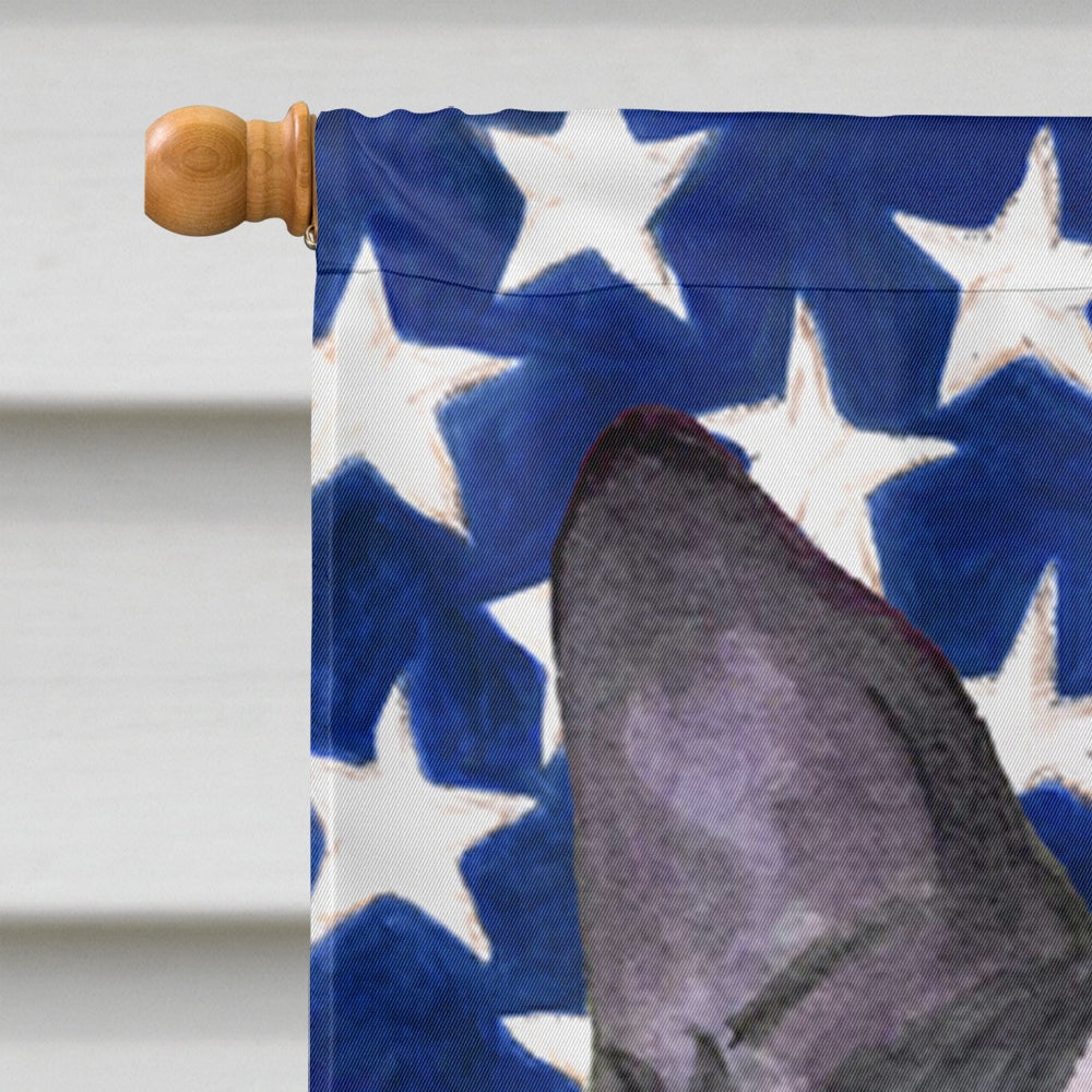 USA American Flag with Boston Terrier House Flag 28x40 Porch Sleeve Pole Decorative Outside Yard Banner Artwork Wall Hanging, Polyester