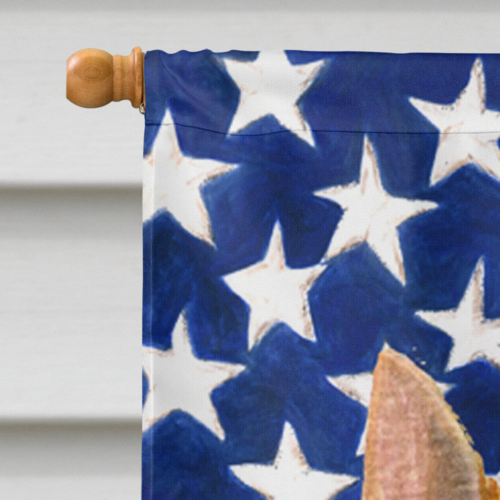 USA American Flag with Norwich Terrier House Flag 28x40 Porch Sleeve Pole Decorative Outside Yard Banner Artwork Wall Hanging, Polyester