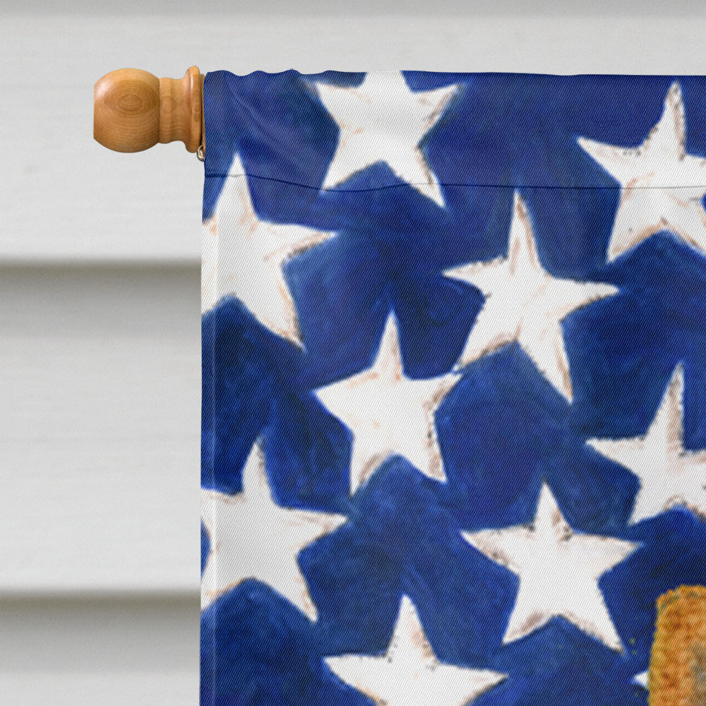 USA American Flag with Chow Chow House Flag 28x40 Porch Sleeve Pole Decorative Outside Yard Banner Artwork Wall Hanging, Polyester