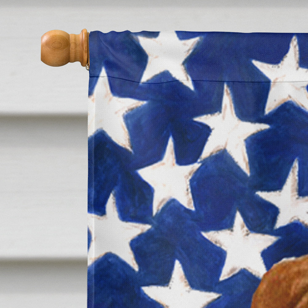 USA American Flag with Sussex Spaniel House Flag 28x40 Porch Sleeve Pole Decorative Outside Yard Banner Artwork Wall Hanging, Polyester
