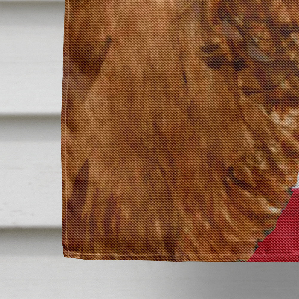 USA American Flag with Sussex Spaniel House Flag 28x40 Porch Sleeve Pole Decorative Outside Yard Banner Artwork Wall Hanging, Polyester