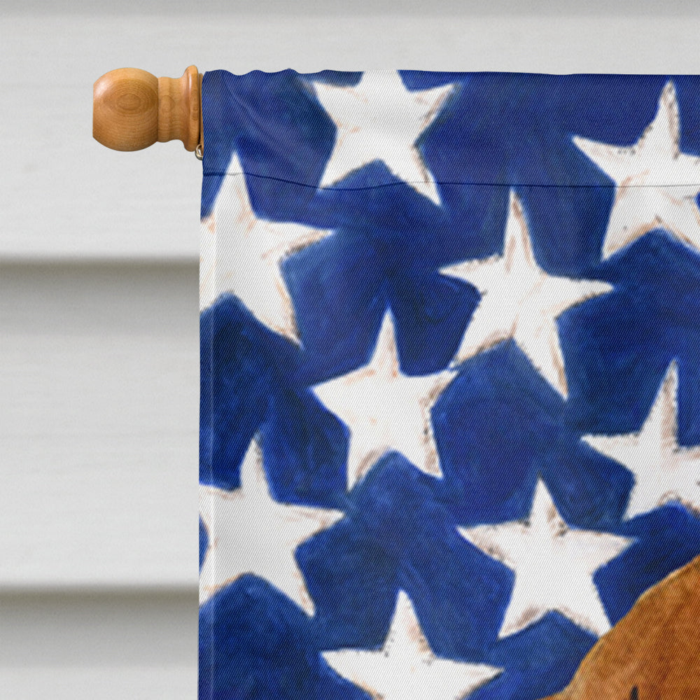 USA American Flag with Dachshund House Flag 28x40 Porch Sleeve Pole Decorative Outside Yard Banner Artwork Wall Hanging, Polyester