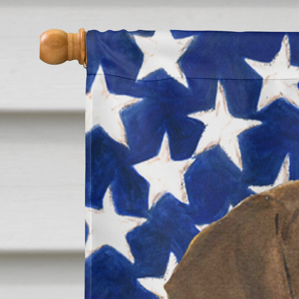USA American Flag with Doberman House Flag 28x40 Porch Sleeve Pole Decorative Outside Yard Banner Artwork Wall Hanging, Polyester