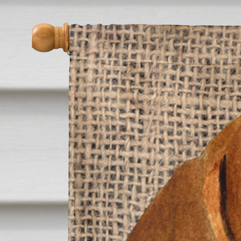 Dachshund on Faux Burlap with Pine Cones House Flag 28x40 Porch Sleeve Pole Decorative Outside Yard Banner Artwork Wall Hanging, Polyester